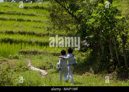 Nepal 2014. Pangma village. School children walking home after lessons...two 8 year old boys. Stock Photo