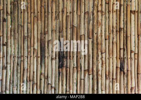 bamboo texture with natural patterns. vertical trunks of bamboo wood, varnished on the background. wooden bamboo wall Stock Photo