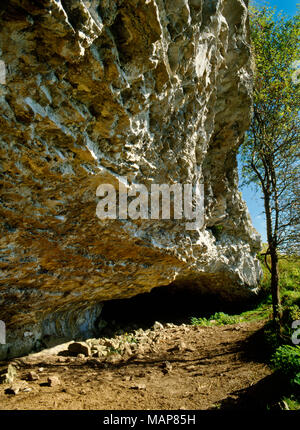 Interconnected rock shelter & caves in the limestone cliff face below Gop Hill cairn, Flintshire, Wales, UK: burials of at least 14 Neolithic people. Stock Photo