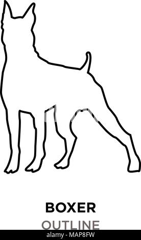 Boxer line icon, vector. Boxer outline sign, concept symbol, flat ...