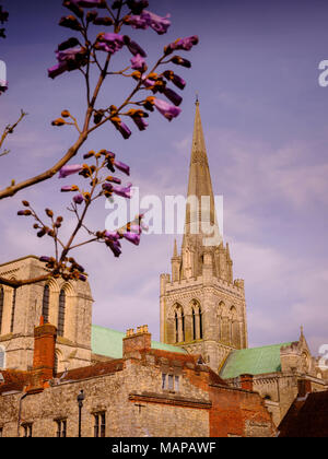Exterior of Chichester Cathedral in West Sussex, viewed from the south. Stock Photo