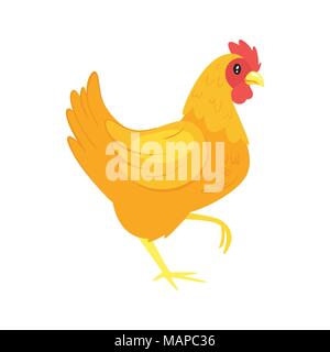 Vector cartoon style illustration of  farm animal - chicken. Isolated on white background. Stock Vector
