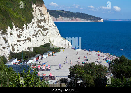 Flanked by towering white limestone (chalk) cliffs, the rocky beach at Beer village attracts droves of beach-goers on a sunny August weekend. The loca Stock Photo