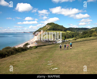 Part of the Jurassic Coast in East Devon, England, the seaside cliffs that surround the hamlet of Branscombe are owned by the National Trust and part  Stock Photo