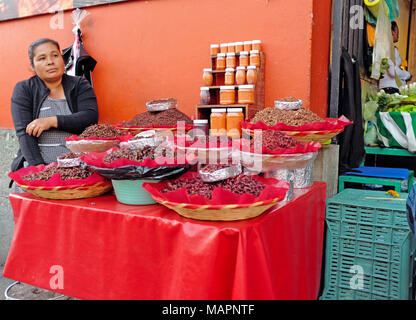 A woman food seller sits at her makeshift stall outside an entrance to the main market area in Oaxaca, Mexico. Stock Photo