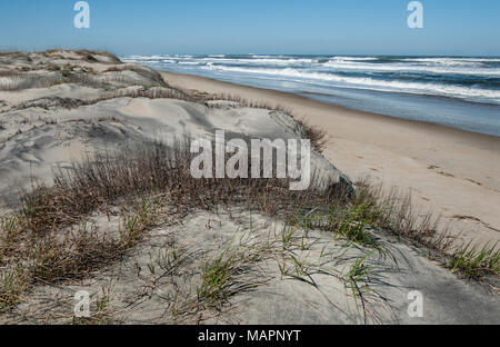 Dune Shoreline in North Carolina:  Large sand dunes overlook the beach at Cape Hatteras National Seashore. Stock Photo