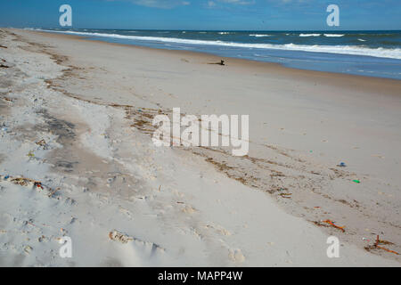 Open beach, Canaveral National Seashore, Florida Stock Photo