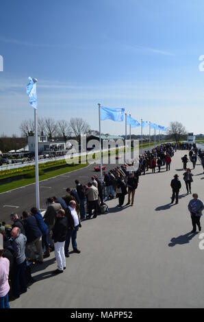 Spectators watch motor racing action at the 72nd Goodwood Members Meeting at the West Sussex motor circuit. Stock Photo