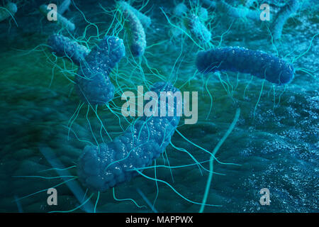 Enterobacterias Gram negativas Proteobacteria, bacteria such as salmonella, escherichia coli, yersinia pestis, klebsiella. 3D illustration Stock Photo