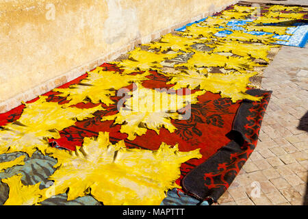 Leather drying in the sun at a tannery (Chaouwara Tanneries in Fez, Morocco) Stock Photo