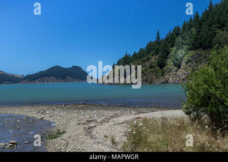 Picton New Zealand Scenes Stock Photo