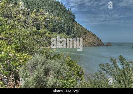 Picton New Zealand Scenes Stock Photo