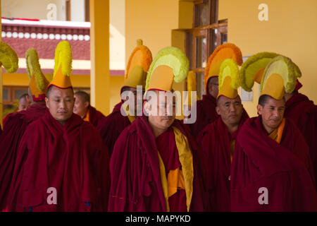 Buddhist monks of the yellow hat tradition, Gyuto Tantric Monastery, Dharamsala, Himachal Pradesh, India, Asia Stock Photo