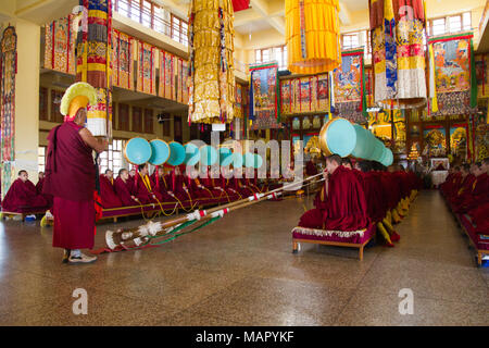 Buddhist monks of the yellow hat tradition, Gyuto Tantric Monastery, Dharamsala, Himachal Pradesh, India, Asia Stock Photo