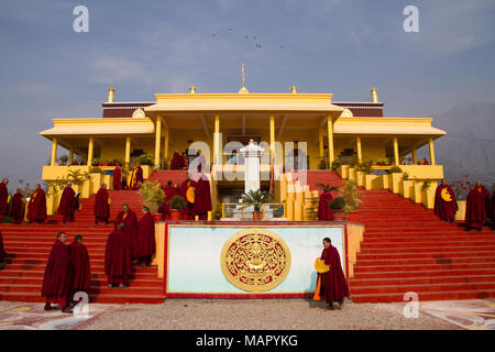 Buddhist monks and the Karmapa temple, Gyuto Tantric Monastery, Dharamsala, Himachal Pradesh, India, Asia Stock Photo