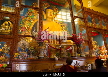 Buddha of the Karmapa temple, the Gyuto Tantric Monastery, Dharamsala, Himachal Pradesh, India, Asia Stock Photo