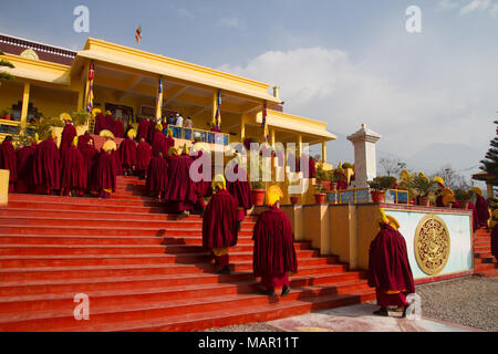 Buddhist monks of the yellow hat tradition, Gyuto Tantric Monastery, Dharamsala, Himachal Pradesh, India, Asia Stock Photo