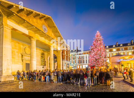 View of Christmas Tree and St. Paul's Church in Covent Garden at dusk, London, England, United Kingdom, Europe Stock Photo
