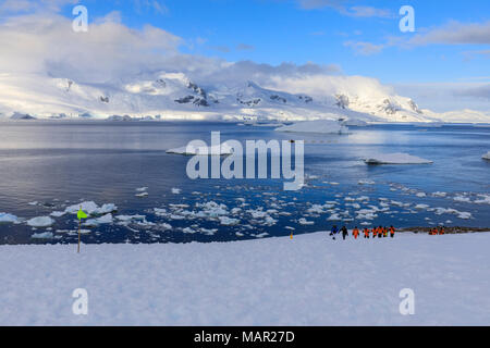 Expedition ship passengers hiking, early morning, beautiful day, Neko Harbour, Graham Land, Antarctic Continent, Antarctica, Polar Regions Stock Photo