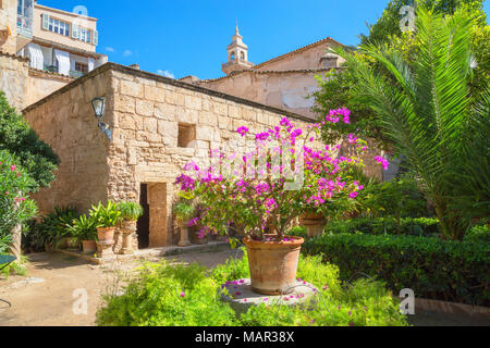 Arab baths garden, Palma de Mallorca, Mallorca (Majorca), Balearic Islands, Spain, Europe Stock Photo