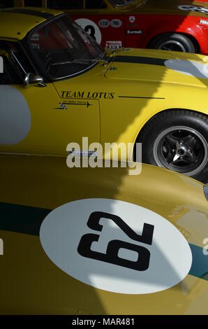 Classic Lotus Elan sports cars at the 2014 Goodwood Revival. Stock Photo