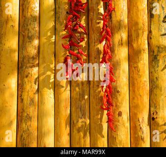 Hanging red chilli on wooden wall of rural house in North of China. Stock Photo