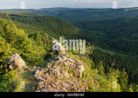 Hahnenklee Crags at Harz National Park, Lower Saxony, Germany Stock Photo