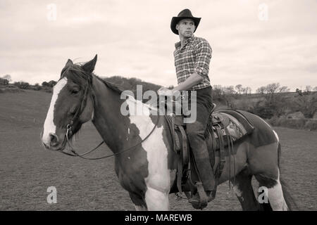 Handsome man, male cowboy sitting in saddle  on horse with  hillside and trees in the background Stock Photo