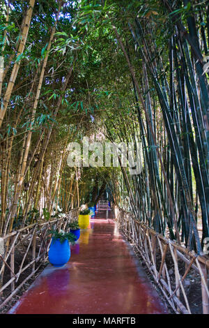 Bamboo forest coridor with colorful pots at sunset in Majorelle garden, Marrakech, Morocco Stock Photo