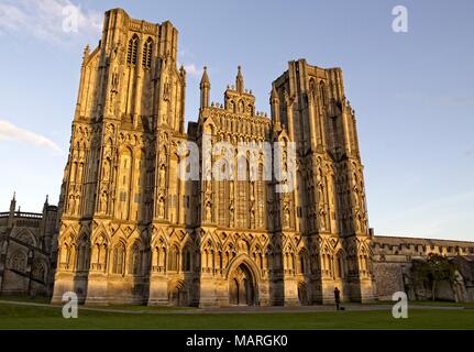 A view of the west front of Wells Cathedral at sunset. Stock Photo