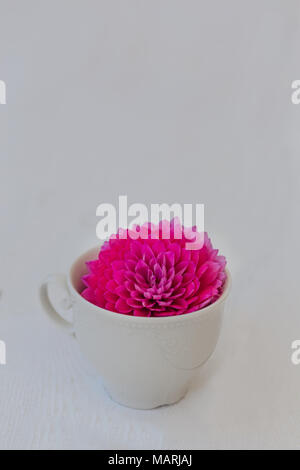 Spring mood concept. Beautiful pink dahlia flower in white tea cup over white background. Vertical composition. Copy space. Stock Photo