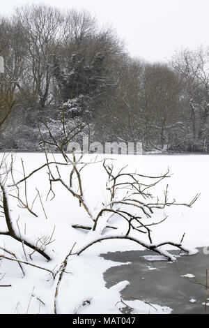 Snow-covered, partially submerged dead tree in a frozen lake at Attenborough Nature Reserve, Nottinghamshire Stock Photo