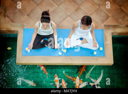 Young couple practicing yoga in the lotus position outdoor Stock Photo
