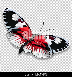 Beautiful butterfly with red black and white wings on a transparent background, graphic drawing. Vector illustration Stock Vector