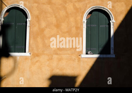 Two arched shuttered windows on an ochre wall in Venice, with a pigeon resting on the sill in late afternoon shadow. Stock Photo