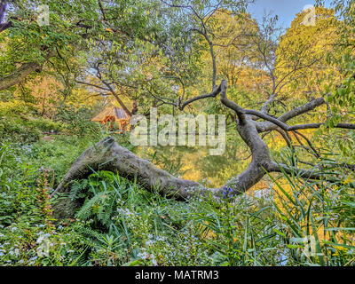 At the Lake in Central Park, New York City Stock Photo