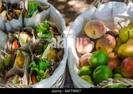 Baskets full of gourmet salad sandwiches and fruit in natural outdoor setting. Healthy organic foods for picnic event. Stock Photo