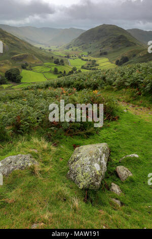 Summer, Martindale Common valley, Lake District National Park, Cumbria County, England, UK. Stock Photo