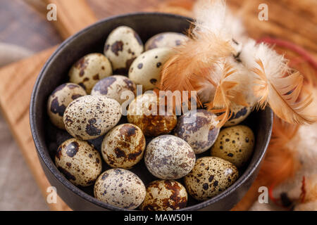 Quail eggs in a black cup close-up. A lot of quail eggs in a cup. Quail eggs and feathers. Stock Photo