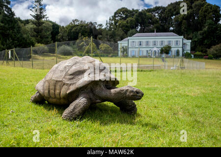 Jonathan, a giant Seychelles tortoise, the world's oldest known living ...