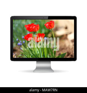 Computer display isolated on white with flowers on the screen Stock Photo