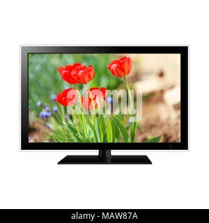 TV isolated on white with flowers on the screen Stock Photo