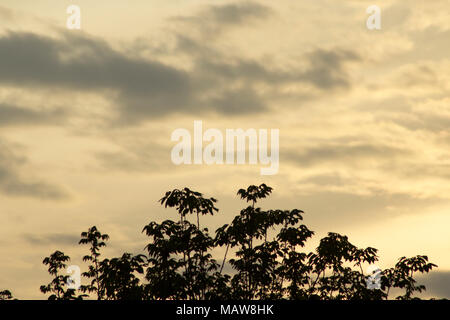 Sunset skies. Abstract nature background. Stock Photo