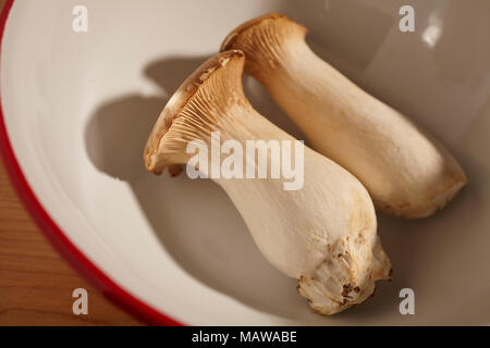 Fresh picked Pleurotus Eryngii straw mushrooms un cooked Stock Photo - Alamy