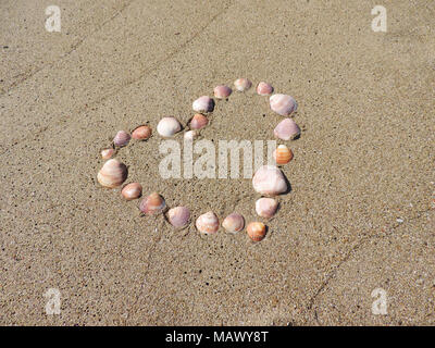 Heart of sea shells on the beach. Summer love or romance theme with sand and seashells. Stock Photo