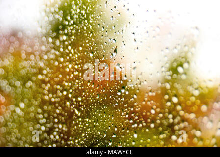 Raindrops at a window glass. Selective focus or closeup shot of rain drops on a window. Stock Photo