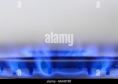 Gas cooker burning gas with a blue flame with a white back ground Stock Photo