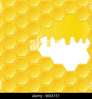 Honeycomb and flowing honey. Vector background. Stock Vector