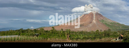 An early morning ash cloud eruption from the active volcano Mount Sinabung, near Berastagi, Sumarta Island, Indonesia. Stock Photo