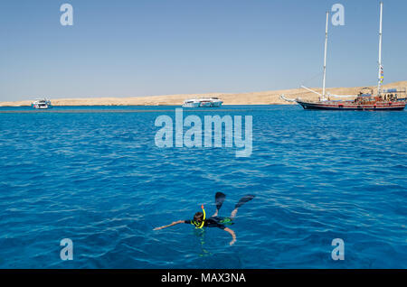 A diver floats in the sea near yachts Stock Photo